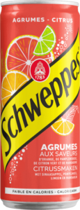 Gazuotas gėrimas SCHWEPPES Agrum