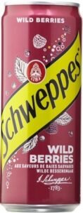 Gazuotas gėrimas SCHWEPPES Wild Berries